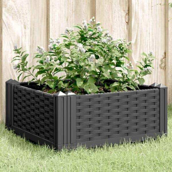 Plantenbak Met Pinnen Polypropeen Grijs