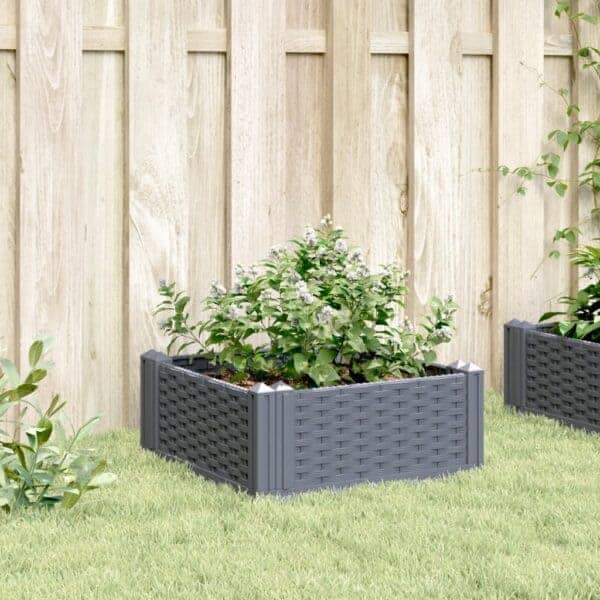 Plantenbak Met Pinnen Polypropeen Grijs