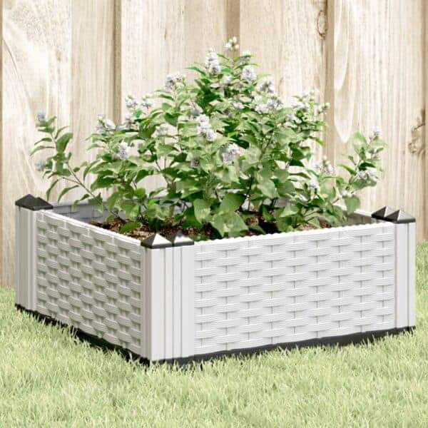 Plantenbak Met Pinnen Polypropeen Grijs