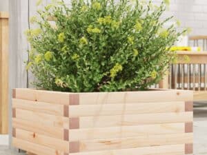Plantenbak 50X50X26,5 Cm Massief Grenenhout Natuurlijk Grenenhout