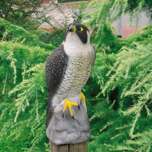 Ubbink Dierfiguur Valk 40 Cm