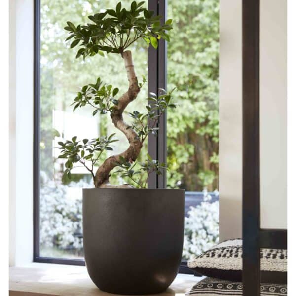 Capi Bloempot Urban Smooth Kbl933