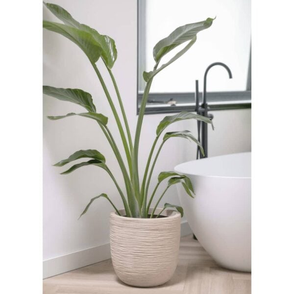 Capi Plantenbak Waste Rib Terrazzo Beige 43X41 Cm