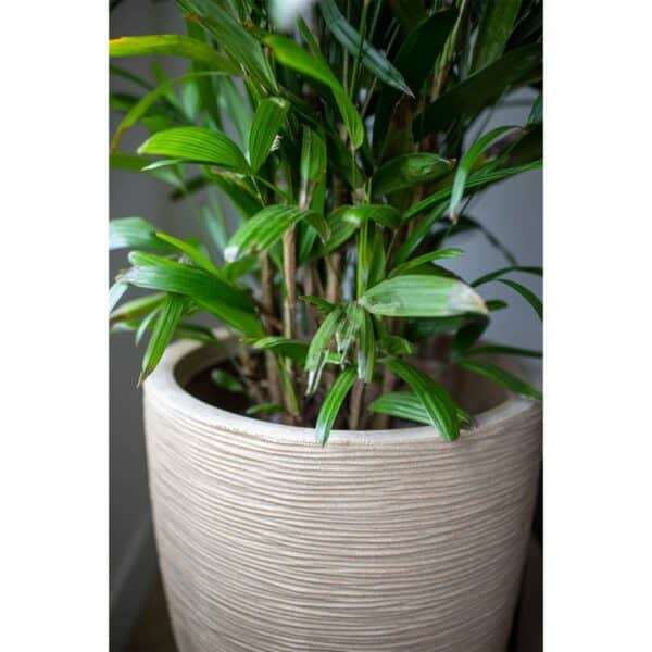 Capi Plantenbak Waste Rib Elegant Laag 46 cm X 58 Cm Terrazzo Beige