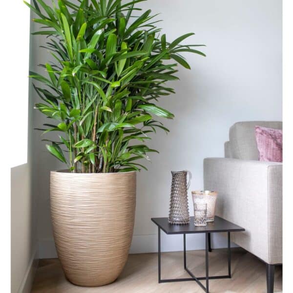 Capi Plantenbak Waste Rib Elegant Laag 46 cm X 58 Cm Terrazzo Beige