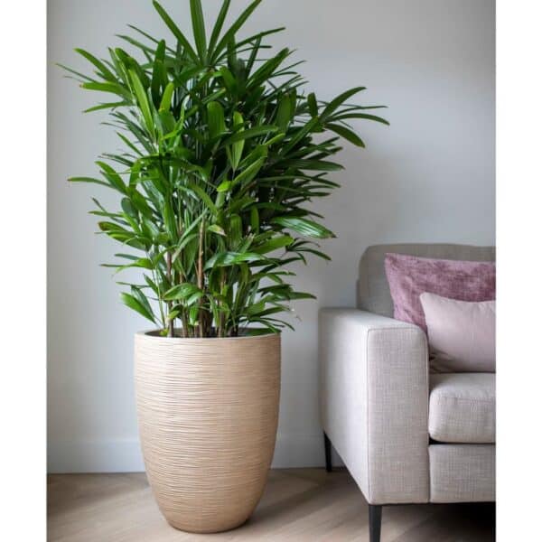 Capi Plantenbak Waste Rib Elegant Laag 46 cm X 58 Cm Terrazzo Beige
