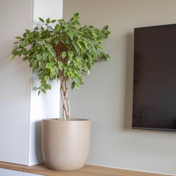 Capi Plantenbak Waste Smooth Terrazzo Beige 43X41 Cm