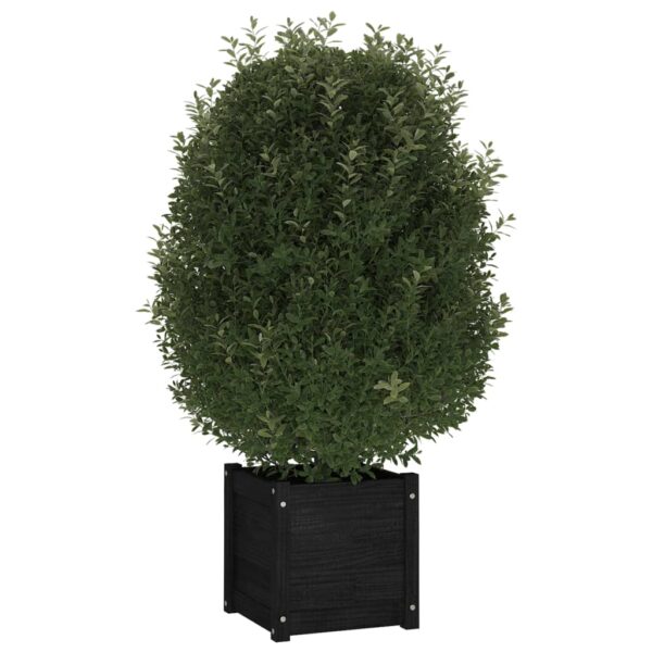 Plantenbakken 40X40X40 Cm Massief Grenenhout