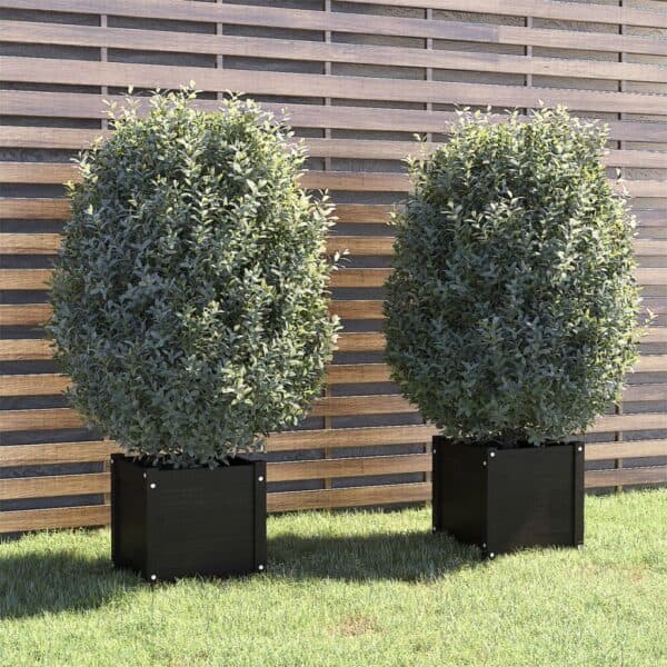 Plantenbakken 40X40X40 Cm Massief Grenenhout