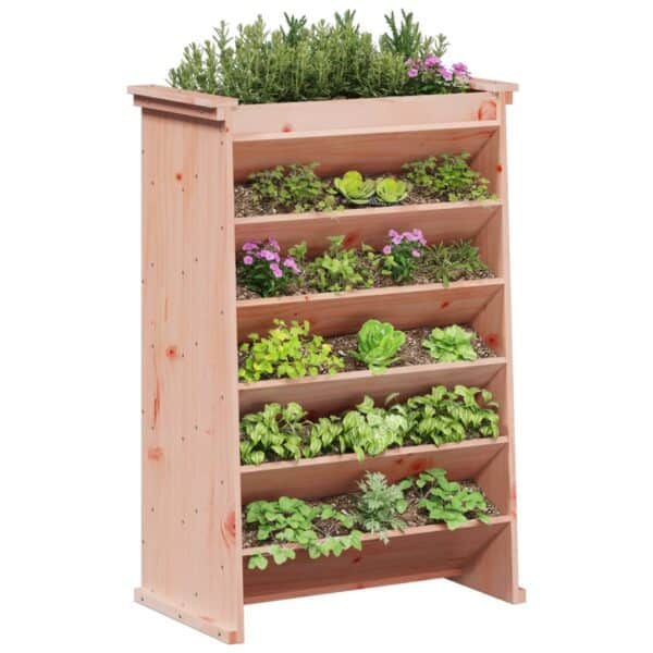 Kruidenbak Douglashout 6-Laags 69X40X101,5 Cm