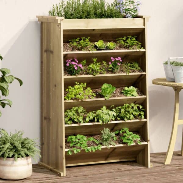 Kruidenbak Douglashout 6-Laags 69X40X101,5 Cm