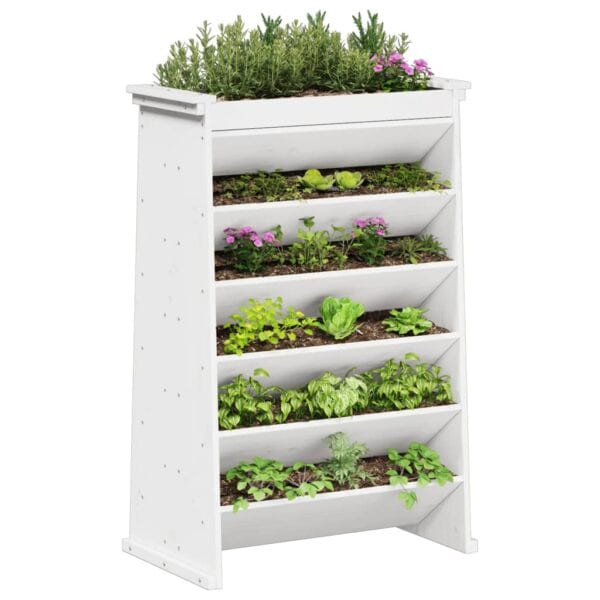 Kruidenbak 6-Laags 69X40X101,5 Cm Massief Grenenhout