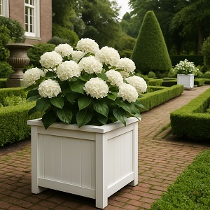 Witte plantenbak Witte plantenbak in historische tuin