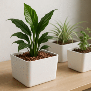 Witte-plantenbakken-voor-hydrocultuur